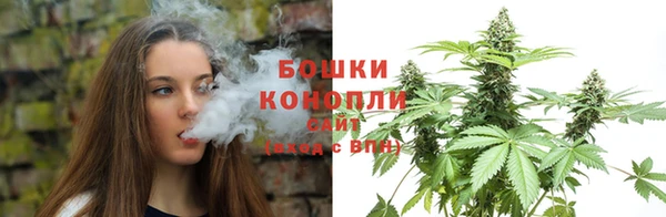 PSILOCYBIN Абдулино