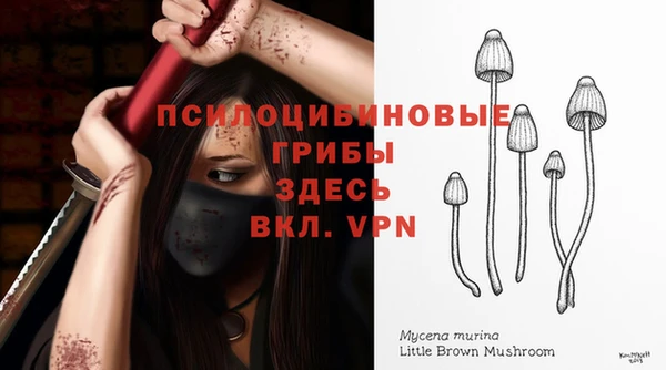 PSILOCYBIN Абдулино