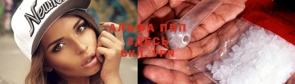 гашик Абинск