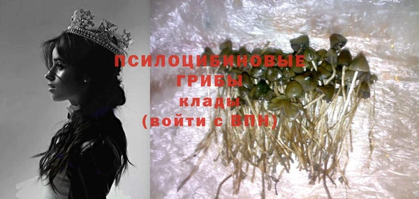 spice Березники