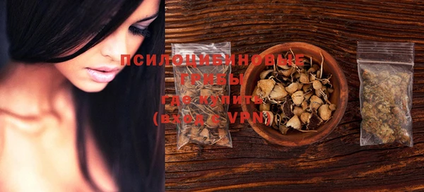spice Березники